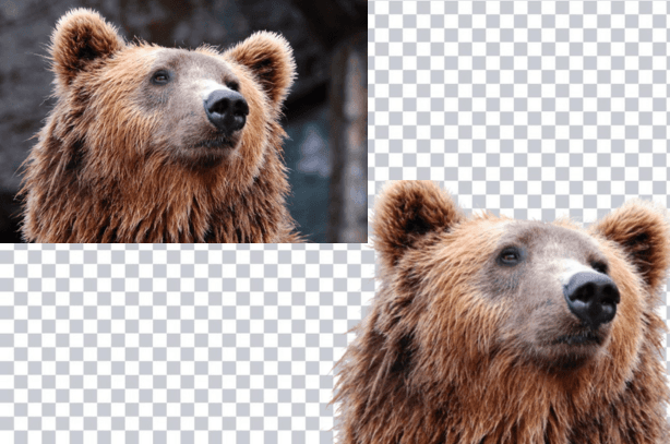 Top 10 Free Online Tools to Remove Background from Images (2025 Edition)